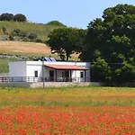 Masseria Torricella * Αλμπερομπέλο