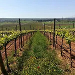 Masseria Torricella Κατάλυμα σε φάρμα Αλμπερομπέλο
