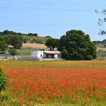 Masseria Torricella * Αλμπερομπέλο
